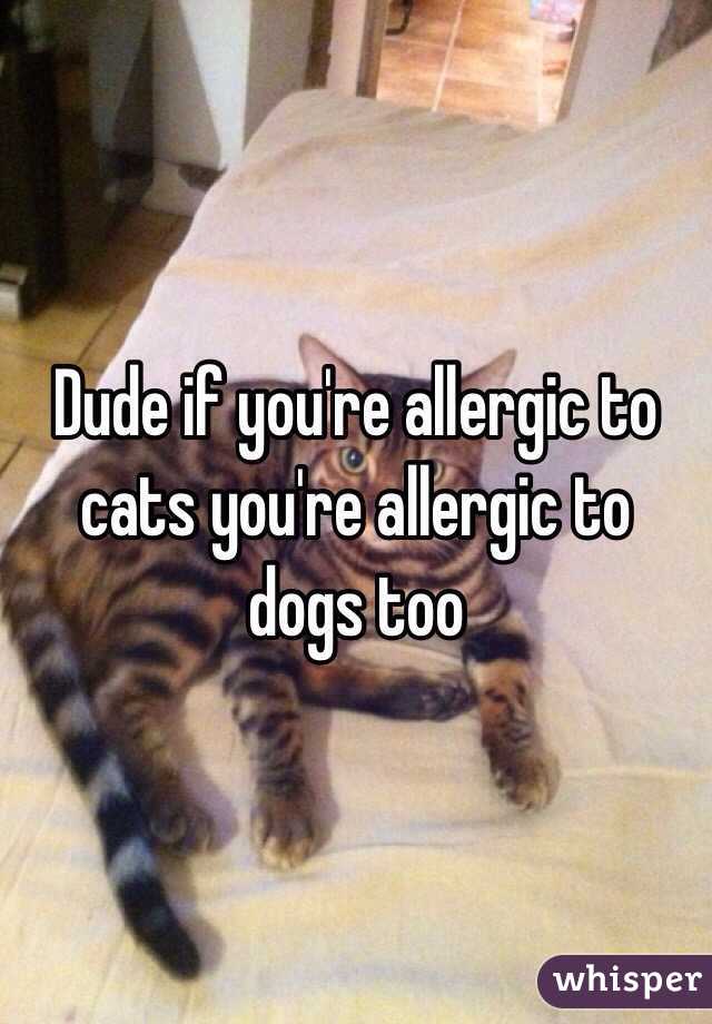 Dude if you're allergic to cats you're allergic to dogs too