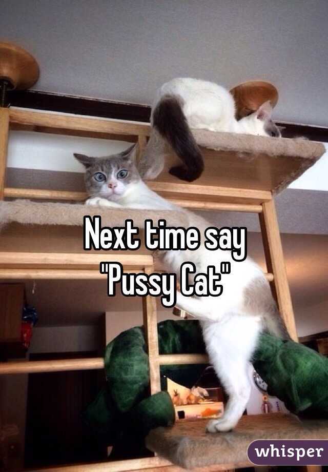 Next time say 
"Pussy Cat"