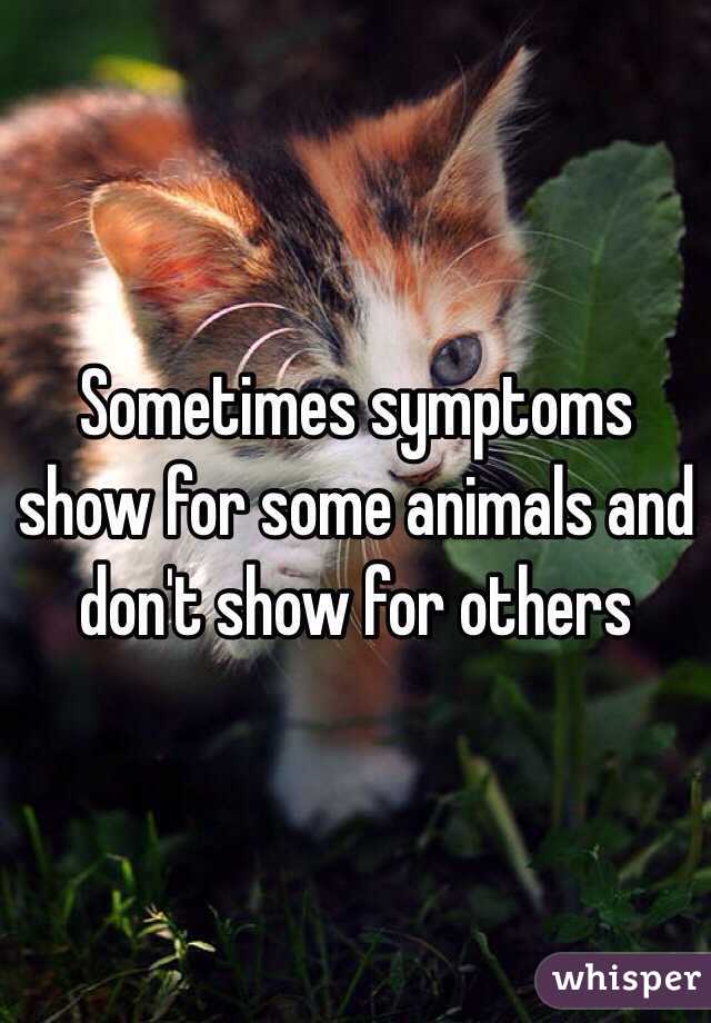 Sometimes symptoms show for some animals and don't show for others 