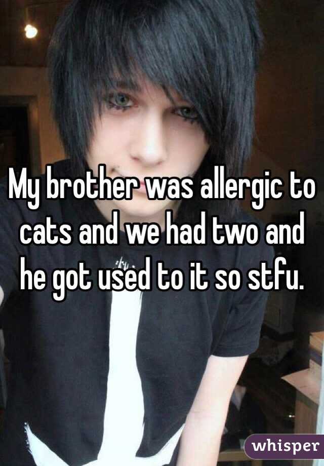 My brother was allergic to cats and we had two and he got used to it so stfu. 