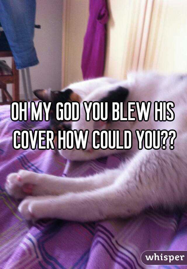 OH MY GOD YOU BLEW HIS COVER HOW COULD YOU??