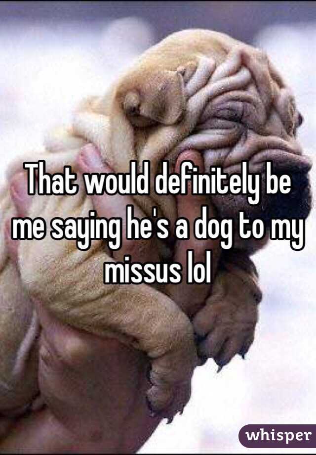 That would definitely be me saying he's a dog to my missus lol