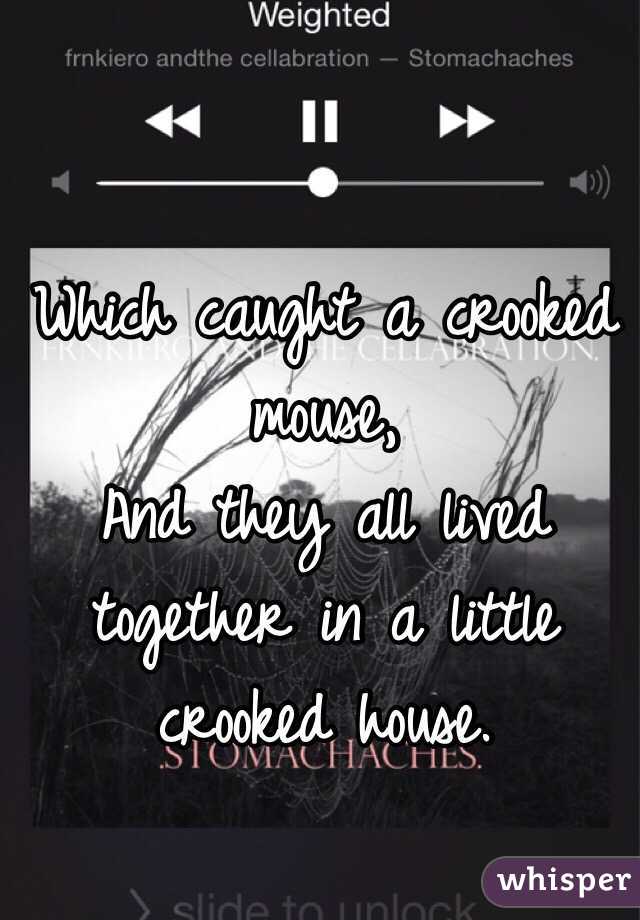 Which caught a crooked mouse,
And they all lived together in a little crooked house. 