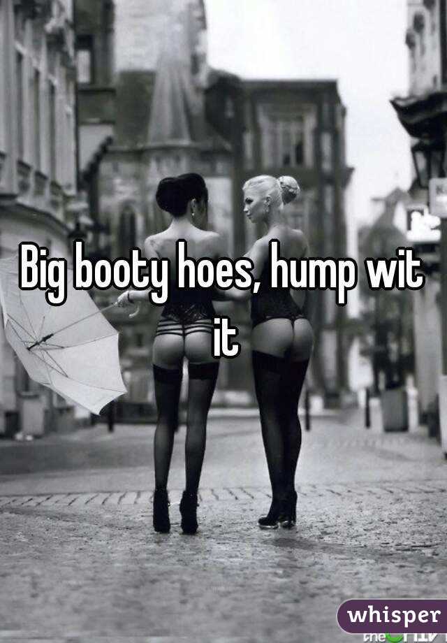 Big booty hoes, hump wit it