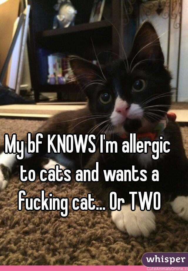 My bf KNOWS I'm allergic to cats and wants a fucking cat... Or TWO