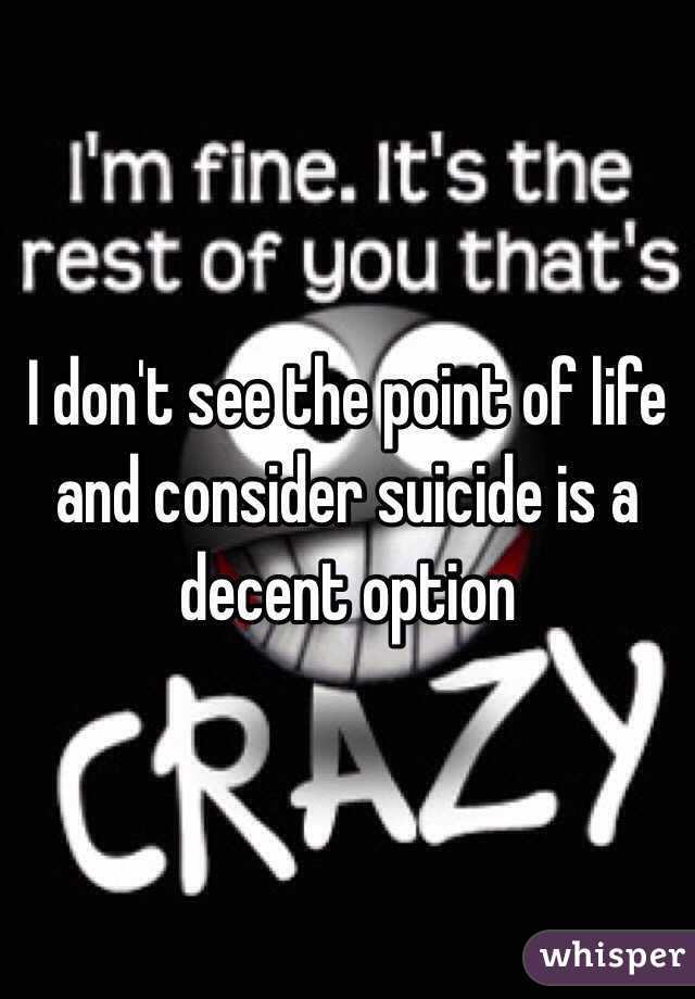 I don't see the point of life and consider suicide is a decent option 