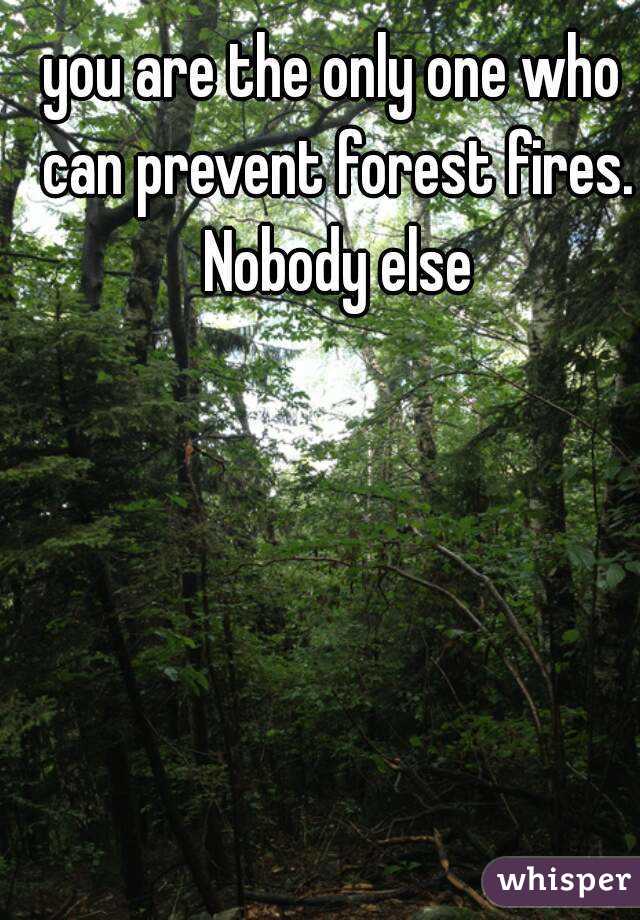you are the only one who can prevent forest fires. Nobody else