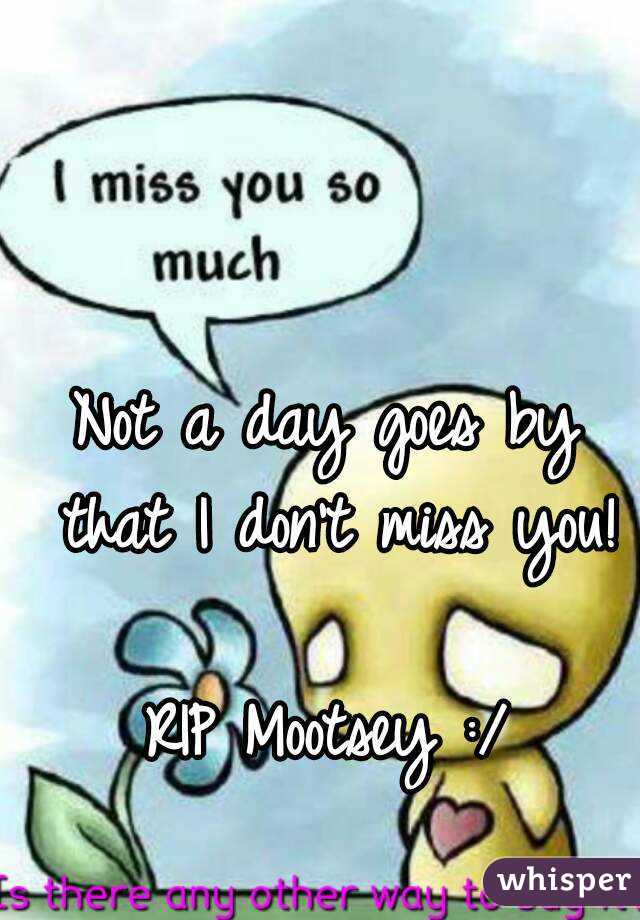 Not a day goes by that I don't miss you!

RIP Mootsey :/
