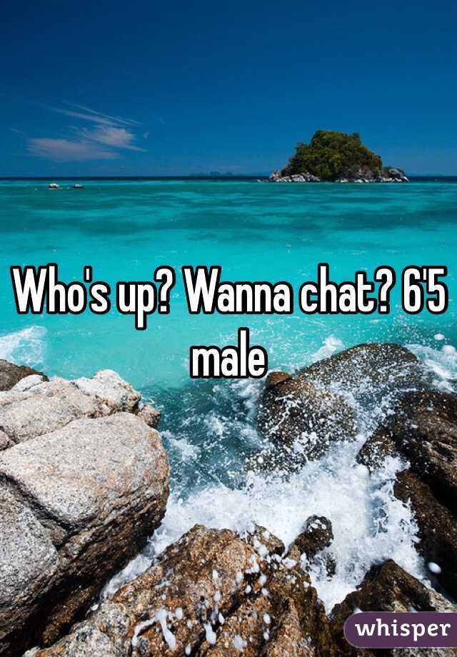 Who's up? Wanna chat? 6'5 male 