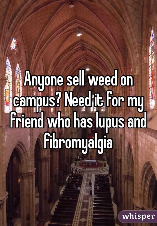 Anyone sell weed on campus? Need it for my friend who has lupus and fibromyalgia 