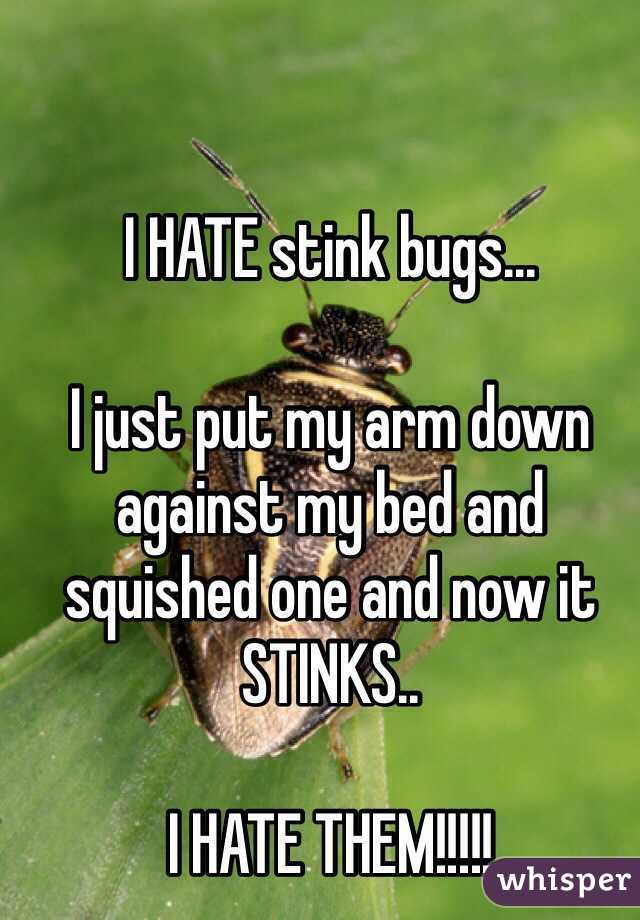 I HATE stink bugs...

I just put my arm down against my bed and squished one and now it STINKS..

I HATE THEM!!!!!