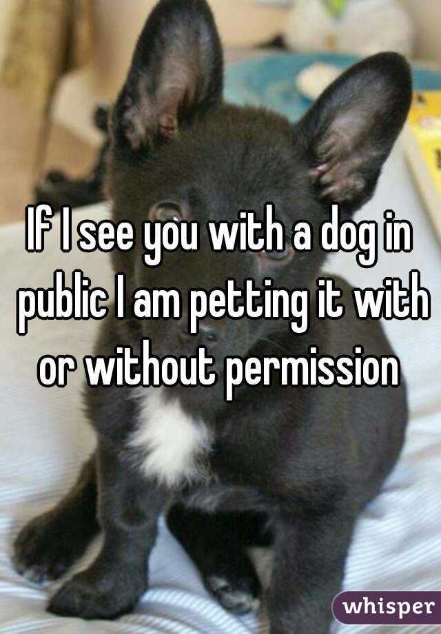 If I see you with a dog in public I am petting it with or without permission 