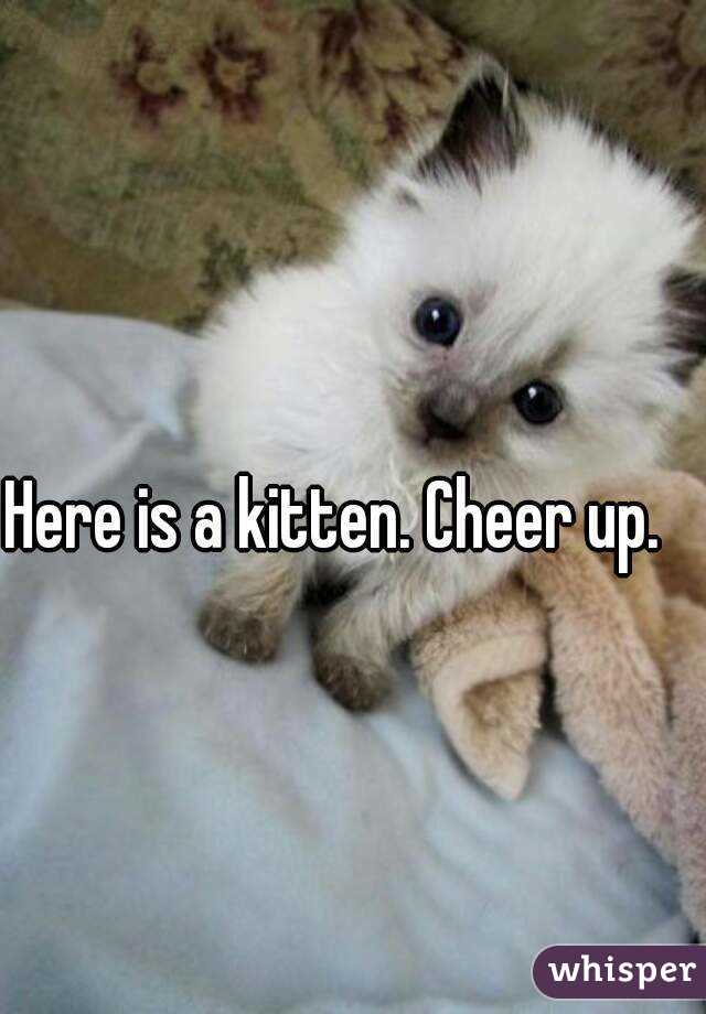 Here is a kitten. Cheer up.
