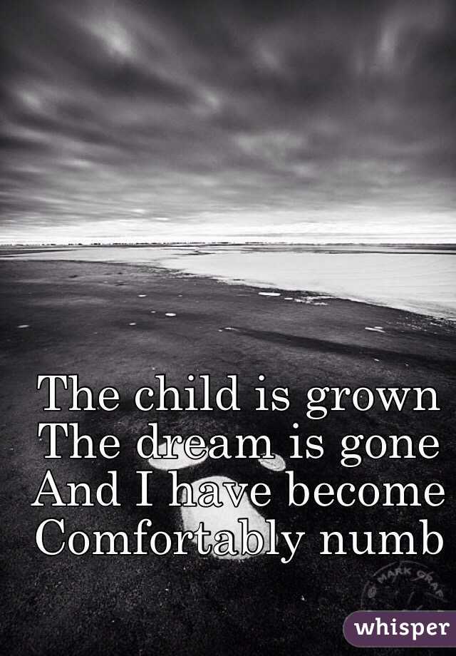 The child is grown 
The dream is gone
And I have become
Comfortably numb 