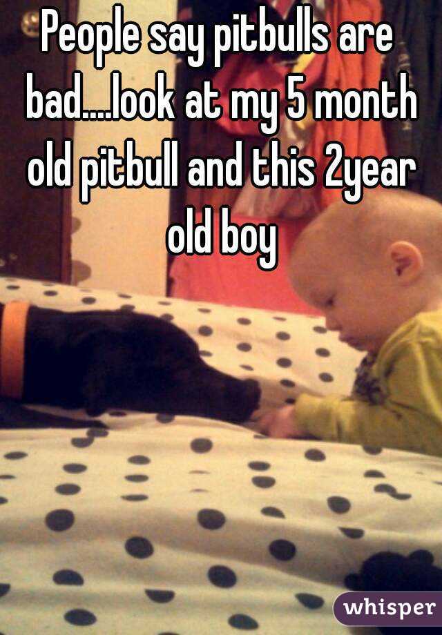 People say pitbulls are bad....look at my 5 month old pitbull and this 2year old boy