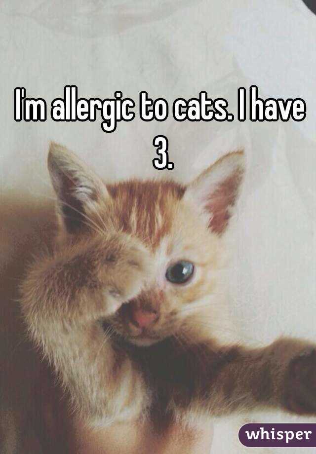 I'm allergic to cats. I have 3.
