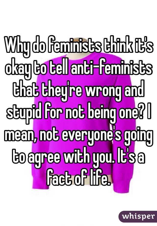 Why do feminists think it's okay to tell anti-feminists that they're wrong and stupid for not being one? I mean, not everyone's going to agree with you. It's a fact of life. 
