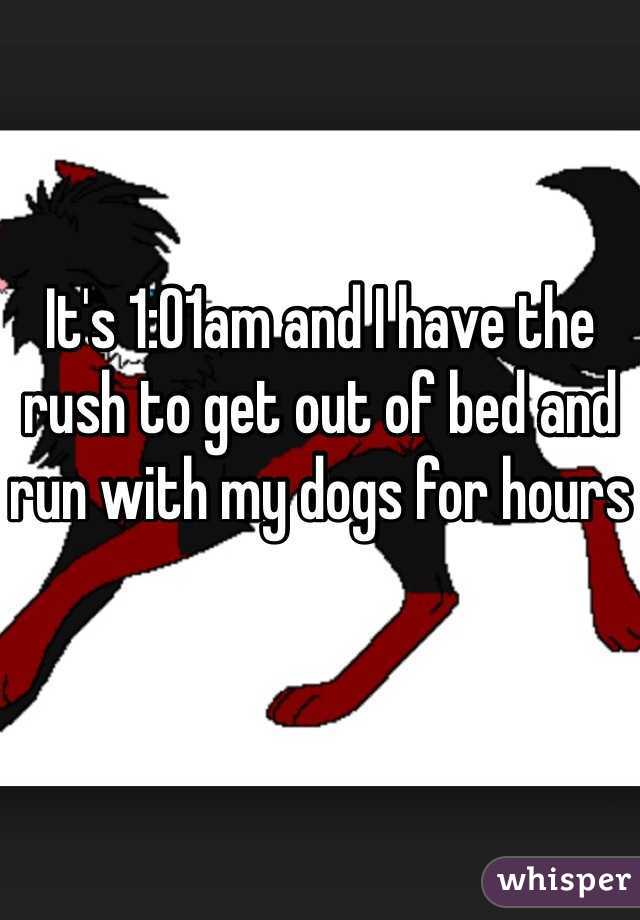 It's 1:01am and I have the rush to get out of bed and run with my dogs for hours