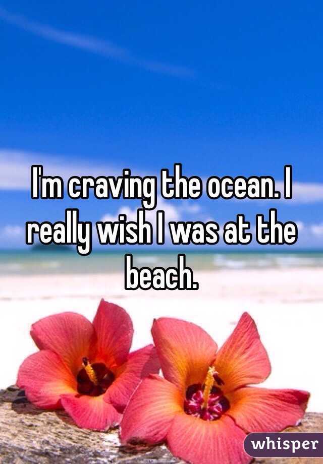 I'm craving the ocean. I really wish I was at the beach. 
