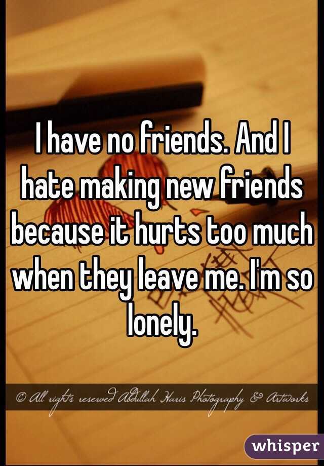 I have no friends. And I hate making new friends because it hurts too much when they leave me. I'm so lonely. 