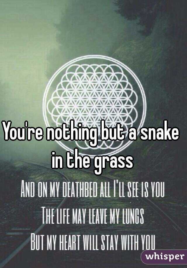 You're nothing but a snake in the grass