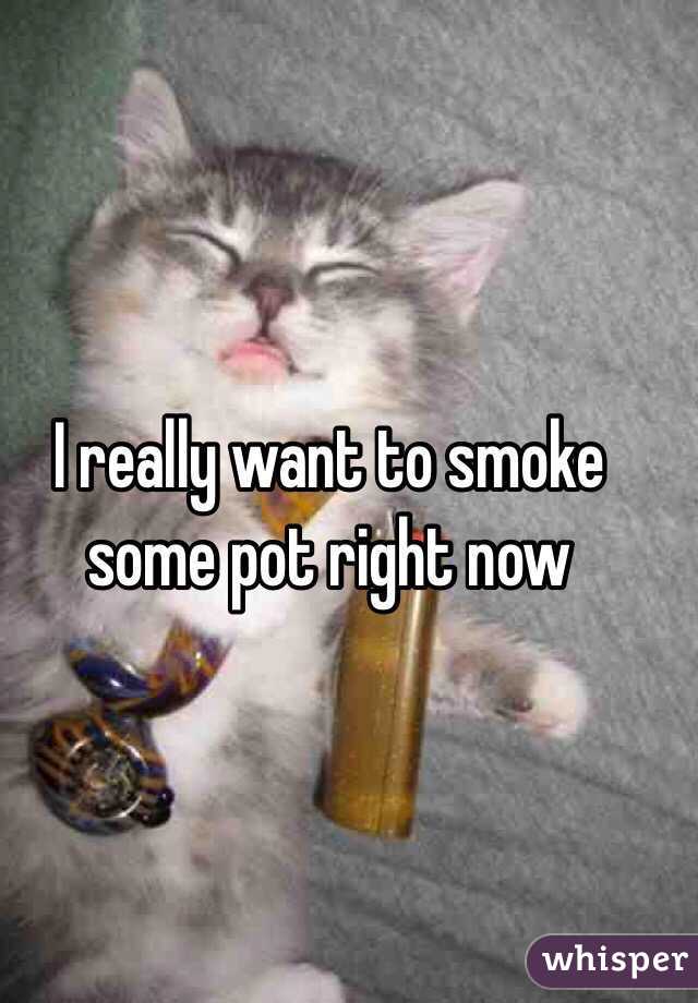 I really want to smoke some pot right now