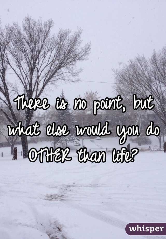 There is no point, but what else would you do OTHER than life? 