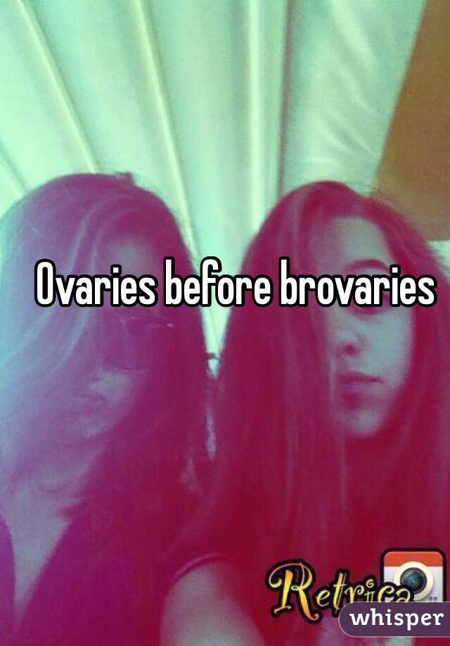 Ovaries before brovaries