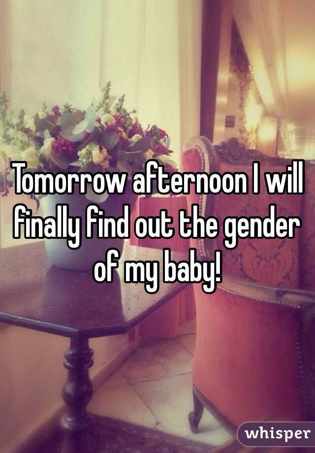 Tomorrow afternoon I will finally find out the gender of my baby!