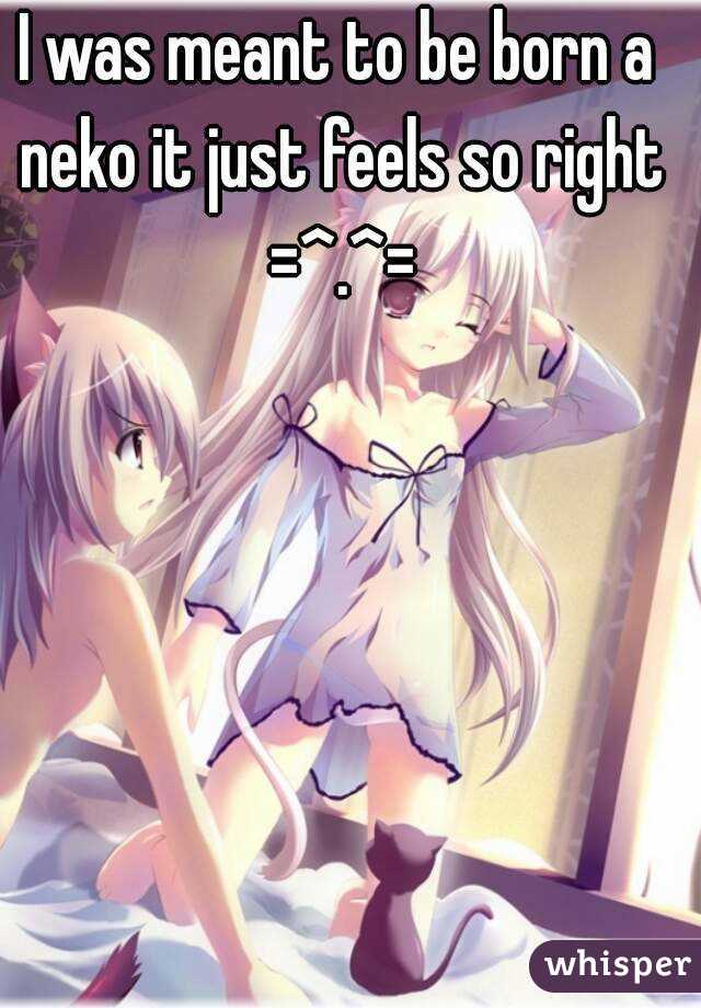I was meant to be born a neko it just feels so right =^.^=