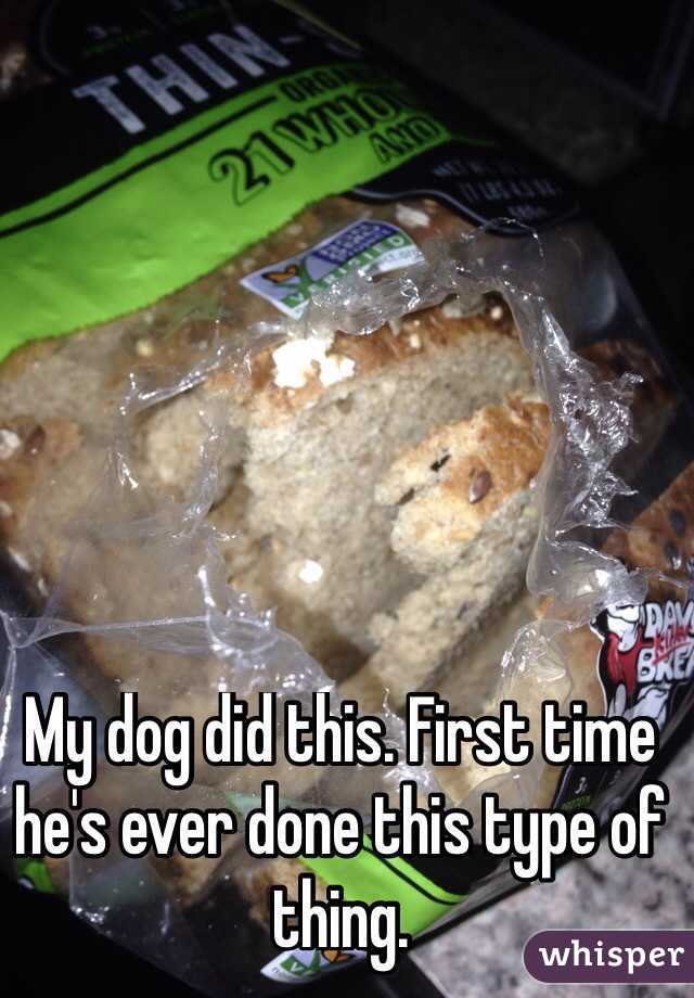 My dog did this. First time he's ever done this type of thing. 
