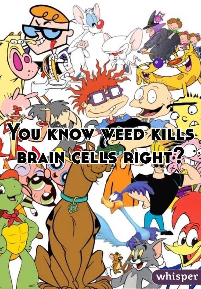 You know weed kills brain cells right?