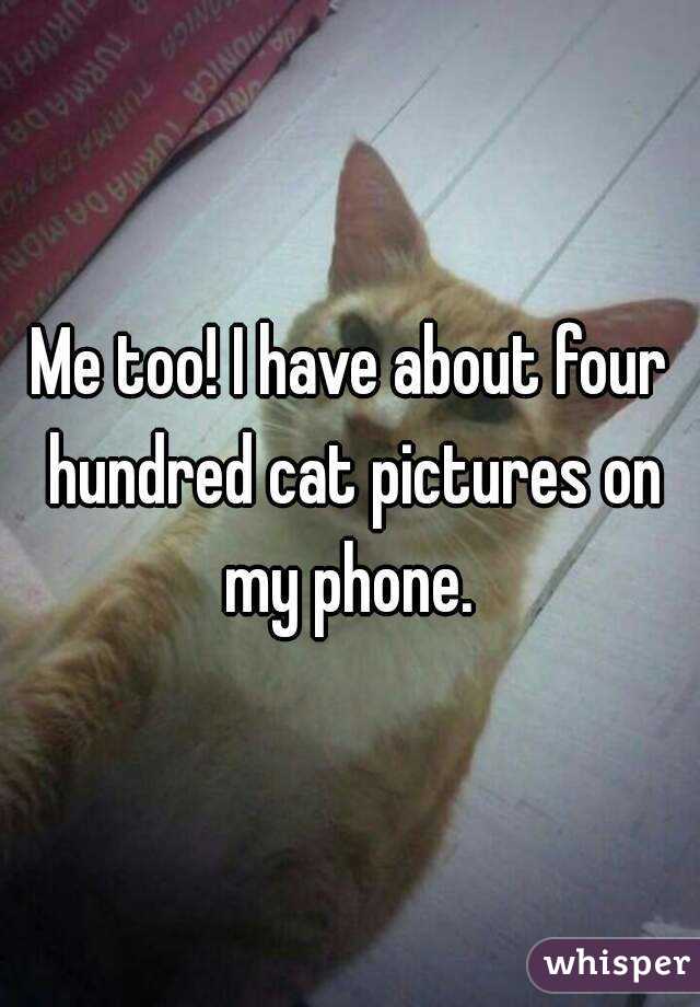 Me too! I have about four hundred cat pictures on my phone. 