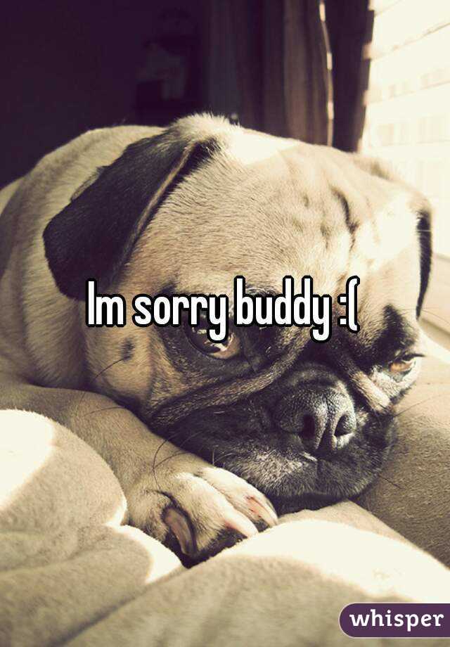 Im sorry buddy :(