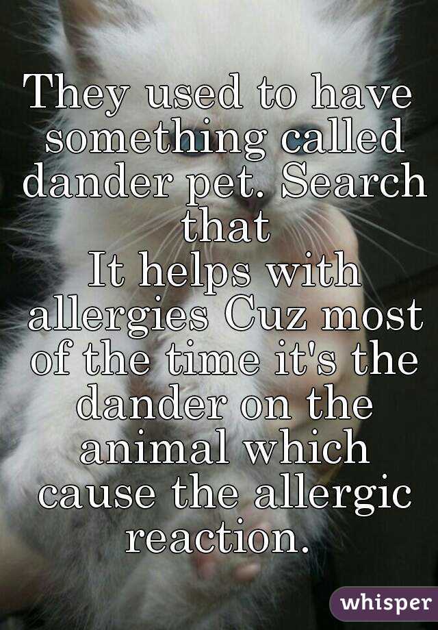 They used to have something called dander pet. Search that
 It helps with allergies Cuz most of the time it's the dander on the animal which cause the allergic reaction. 