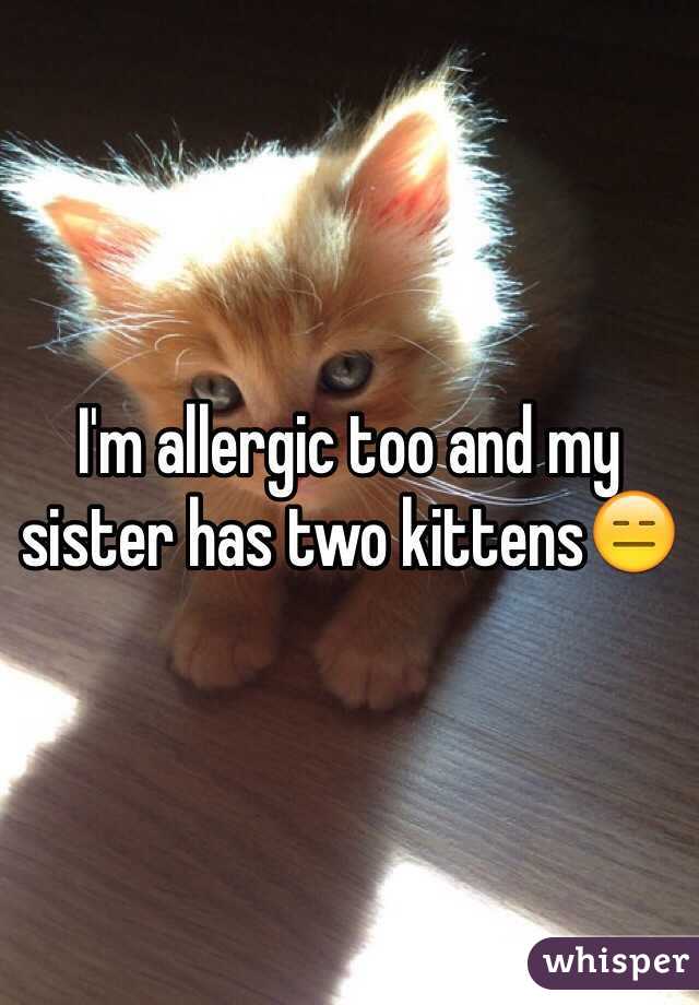 I'm allergic too and my sister has two kittens😑