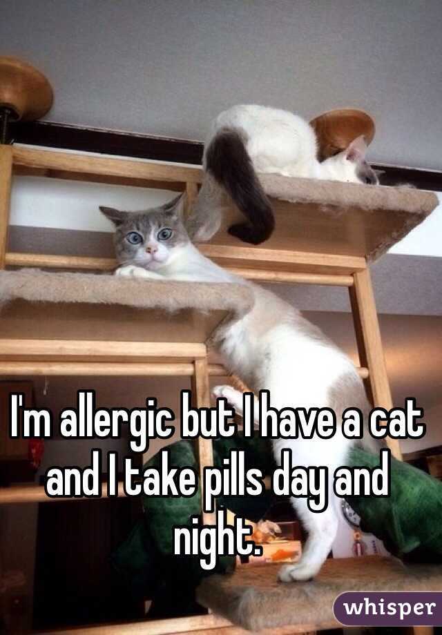 I'm allergic but I have a cat and I take pills day and night.