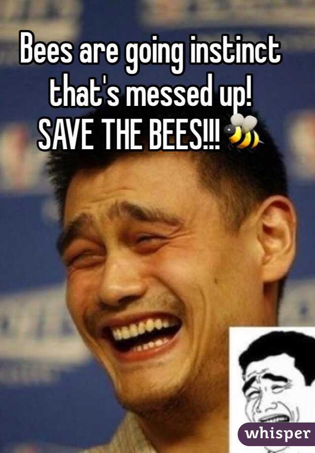 Bees are going instinct that's messed up!
SAVE THE BEES!!!🐝