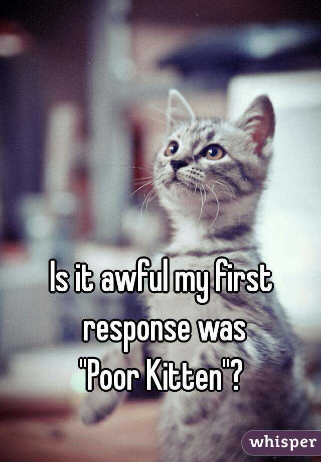 Is it awful my first response was
"Poor Kitten"?