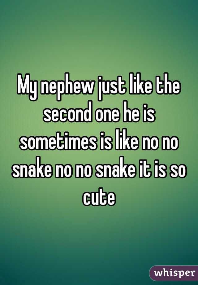 My nephew just like the second one he is sometimes is like no no snake no no snake it is so cute