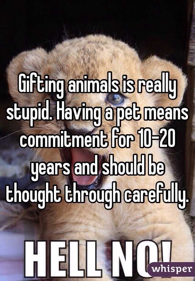 Gifting animals is really stupid. Having a pet means commitment for 10-20 years and should be thought through carefully.