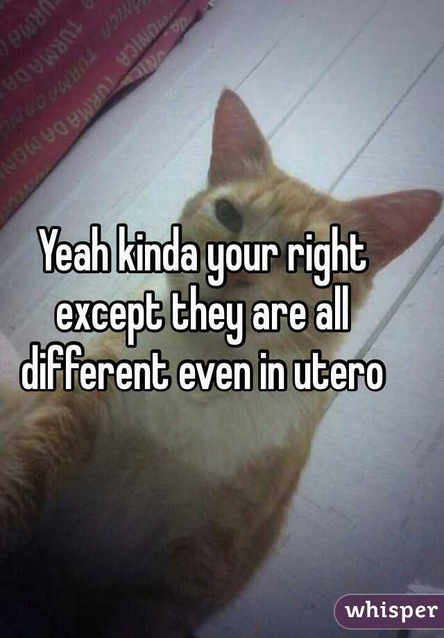 Yeah kinda your right except they are all different even in utero 