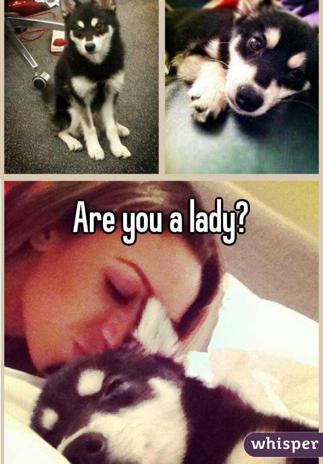 Are you a lady?
