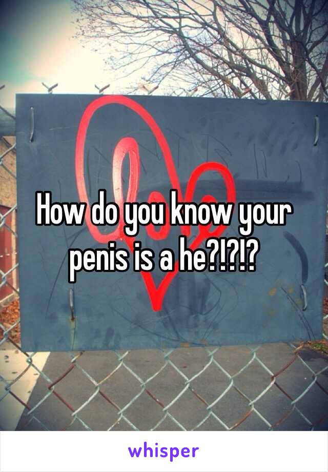 How do you know your penis is a he?!?!?