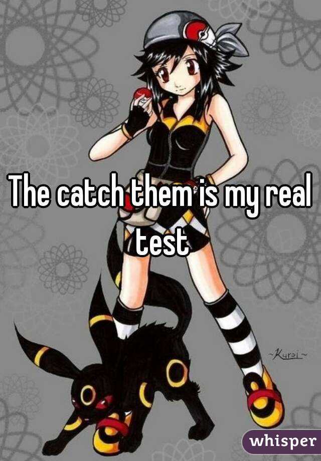 The catch them is my real test