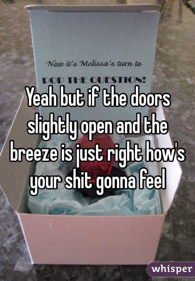 Yeah but if the doors slightly open and the breeze is just right how's your shit gonna feel