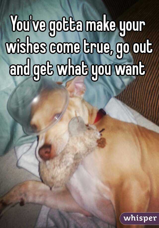 You've gotta make your wishes come true, go out and get what you want 