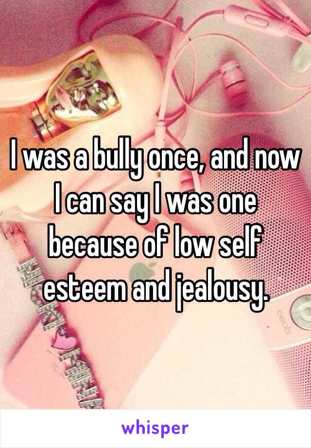 I was a bully once, and now I can say I was one because of low self esteem and jealousy. 