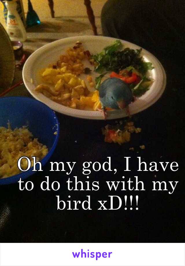 Oh my god, I have to do this with my bird xD!!!