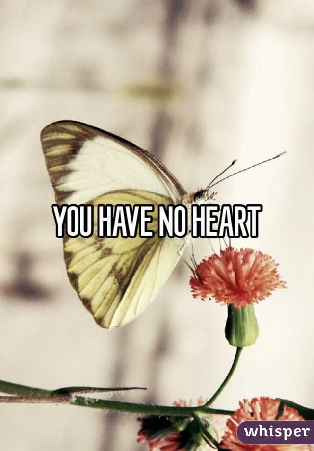 YOU HAVE NO HEART